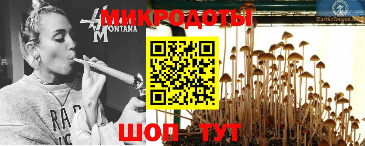 Псилоцибиновые грибы мицелий Белогорск